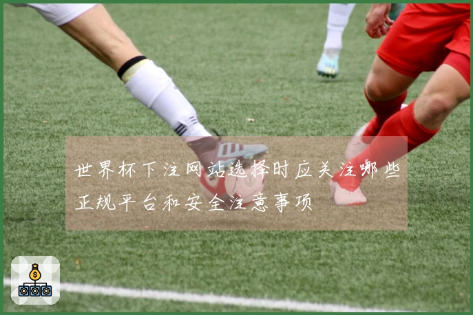 世界杯下注网站选择时应关注哪些正规平台和安全注意事项