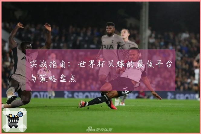 实战指南：世界杯买球的最佳平台与策略盘点