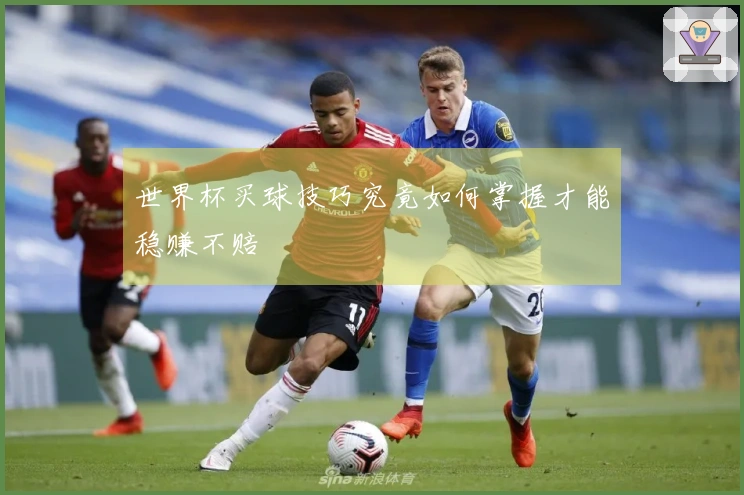 世界杯买球技巧究竟如何掌握才能稳赚不赔