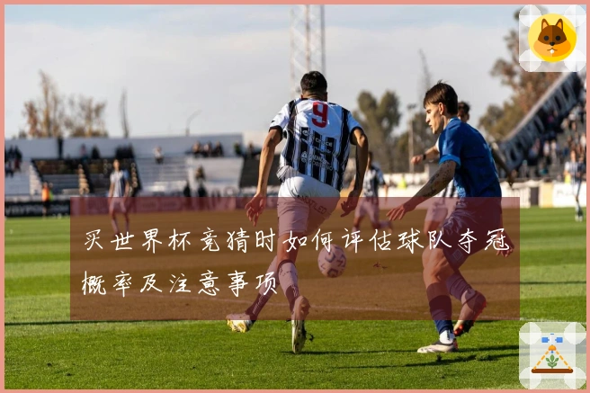 买世界杯竞猜时如何评估球队夺冠概率及注意事项