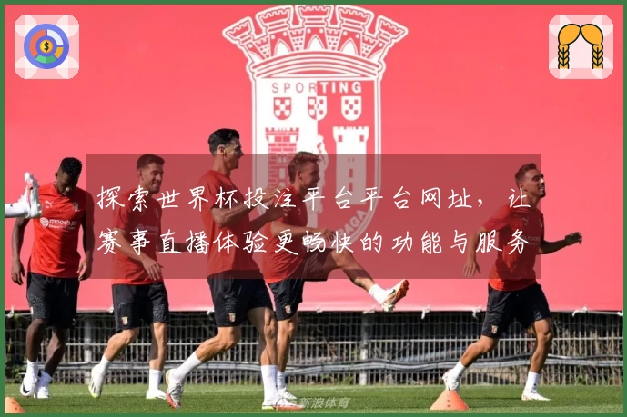 探索世界杯投注平台平台网址，让赛事直播体验更畅快的功能与服务